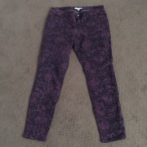 CAbi pants